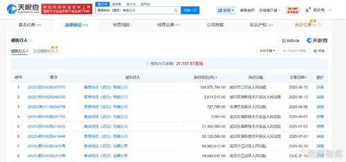 集度科技武漢公司被執(zhí)行1.04億，互聯(lián)網(wǎng)信息服務(wù)行業(yè)風(fēng)險(xiǎn)警鐘長(zhǎng)鳴